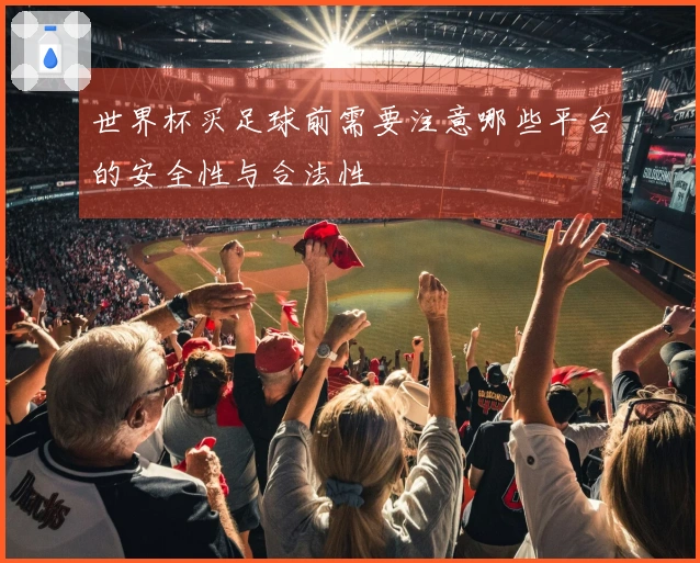 世界杯买足球前需要注意哪些平台的安全性与合法性
