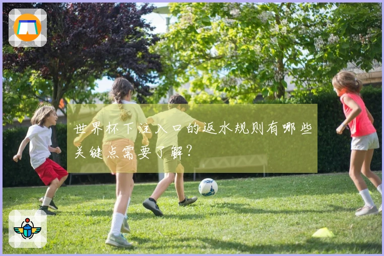 世界杯下注入口的返水规则有哪些关键点需要了解？