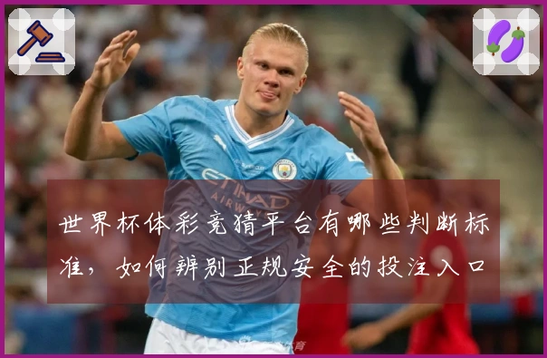 世界杯体彩竞猜平台有哪些判断标准，如何辨别正规安全的投注入口