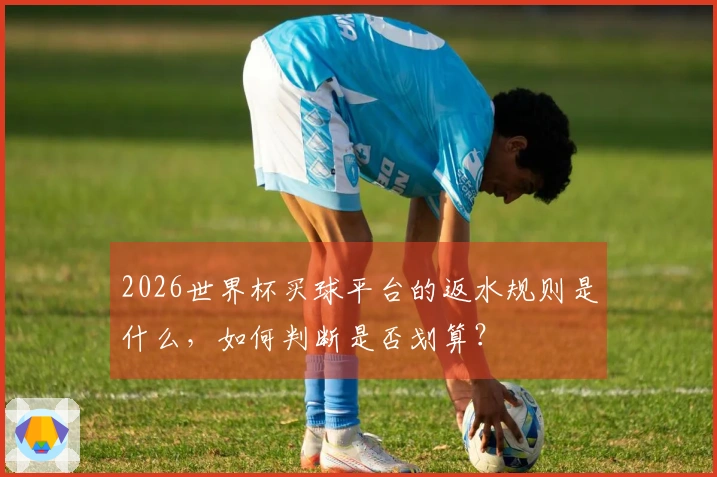 2026世界杯买球平台的返水规则是什么，如何判断是否划算？